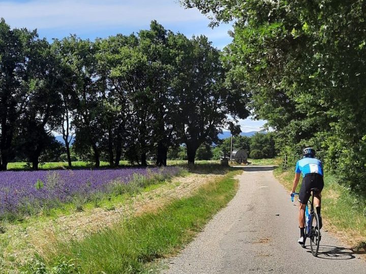 Tour des lavandes à Montélimar - 0