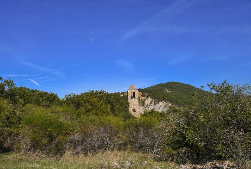 Les ruines de Roynac à Marsanne - 2