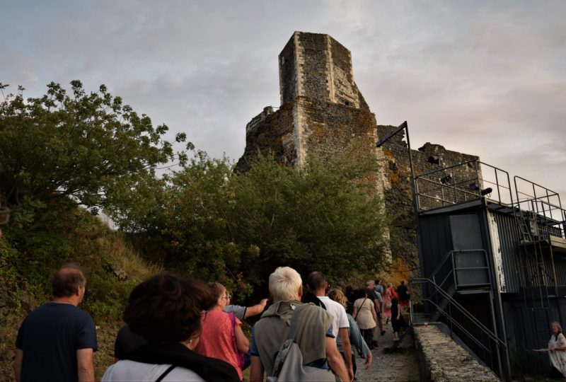 Château de Rochemaure à Rochemaure - 6