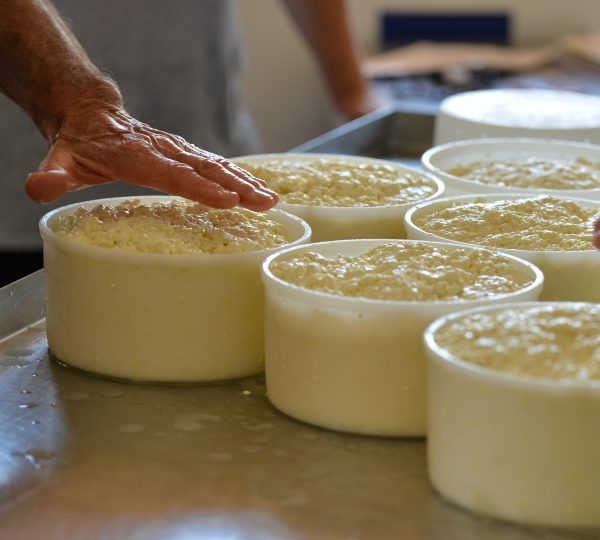 Stage découverte Cuisine et autonomie gourmande à La Roche-sur-Grane - 1