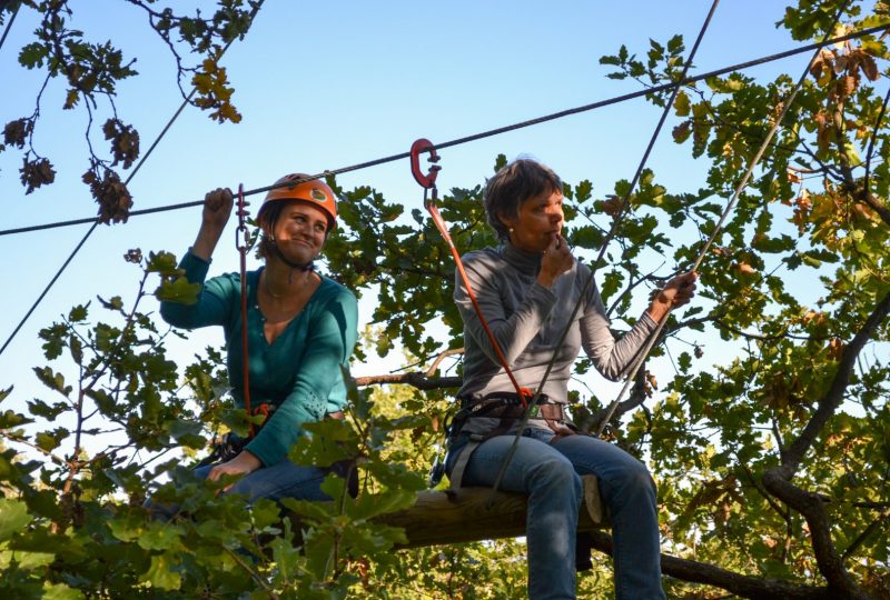 Parcours dans les arbres avec Joncas Aventure à Le Teil - 2