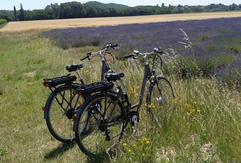 Location de vélos à assistance électrique, fatbikes et classique à Marsanne - 2