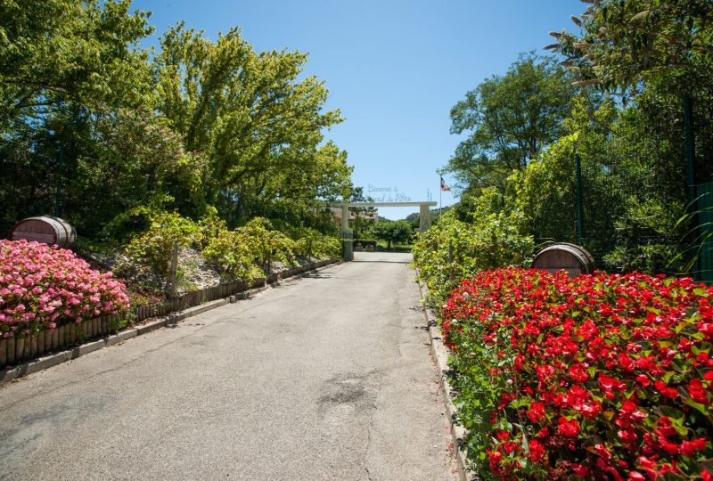 Camping de la Graveline à Châteauneuf-du-Rhône - 2