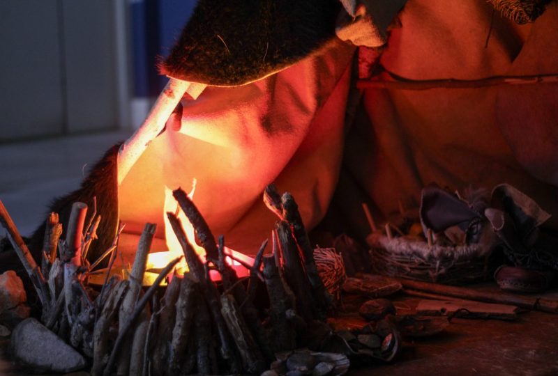 Animations de l’été à la Grotte Chauvet 2 à Vallon-Pont-d'Arc - 4