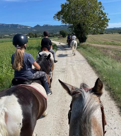 Stage d’équitation des vacance de la toussaint à Puy-Saint-Martin - 3