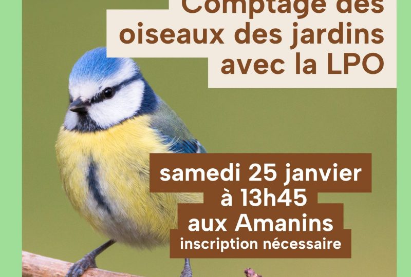 Comptage des oiseaux  avec la LPO à La Roche-sur-Grane - 0