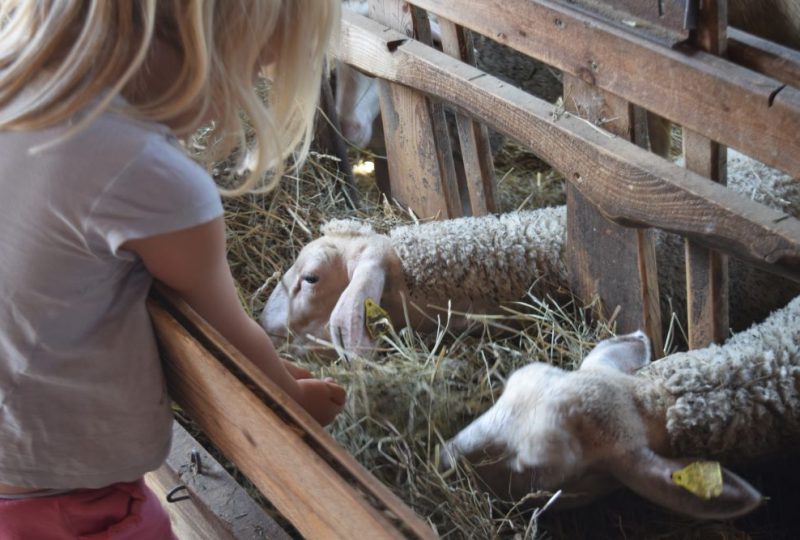 Séjours été vacances à la ferme à La Roche-sur-Grane - 3