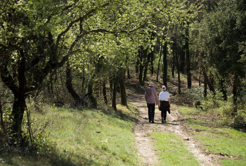 Randonnée accompagnée sur le Coiron à Saint-Pierre-la-Roche - 0