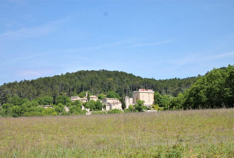 Béraud à Condillac - 0